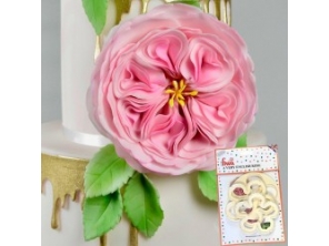 http://www.houseofcakes.pt/2394-thickbox_default/cortantes-rosa-inglesa.jpg