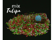 Mix Tulipa