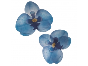 http://www.houseofcakes.pt/2778-thickbox_default/orquídea-em-hóstia-azul-85cm.jpg