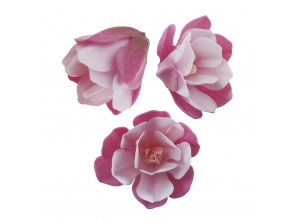 http://www.houseofcakes.pt/2780-thickbox_default/magnolia-rosa-em-hóstia-65cm.jpg