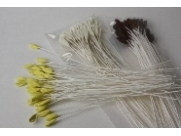 Estames Castanhos Lírio